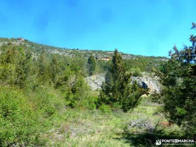 Río Cega,Santa Águeda–Pedraza;conocer gente madrid cuevas de aracena bosque de muniellos